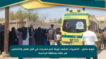 تنويه عاجل.. التحريات تكشف تورط تاجر مخدرات في قتل طفل والتخلص من جثته بمنطقة كرداسة
